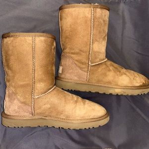 Women’s Ugg Boots - Classic Short/ Chestnut